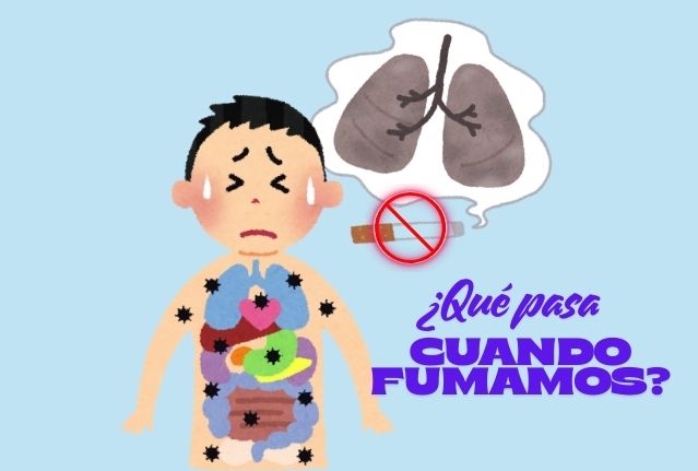 ¿Qué sucede cuándo fumamos? ¿Qué sucede cuándo fumamos?