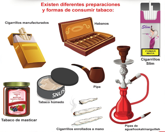 ¿Qué es el tabaco y formas de uso?