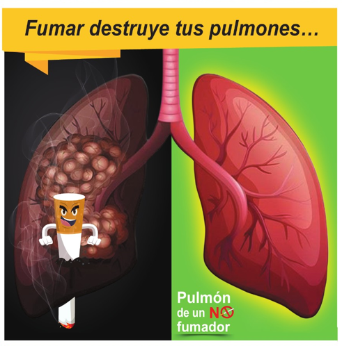 Fumar destruye tus pulmones